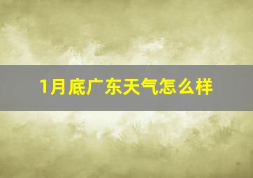 1月底广东天气怎么样