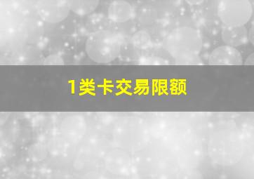 1类卡交易限额