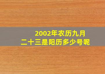 2002年农历九月二十三是阳历多少号呢