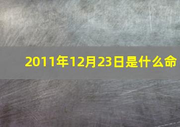 2011年12月23日是什么命