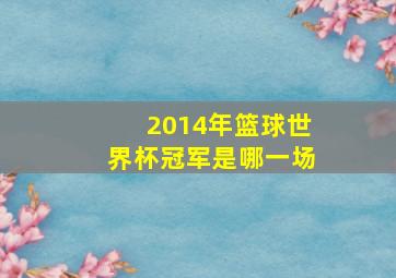 2014年篮球世界杯冠军是哪一场