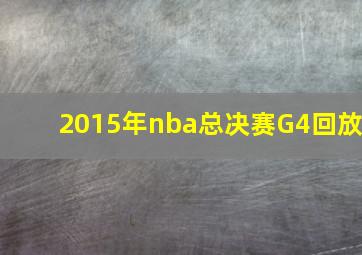 2015年nba总决赛G4回放