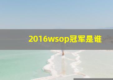 2016wsop冠军是谁