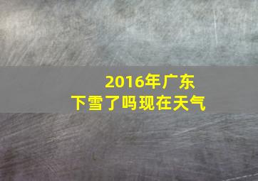 2016年广东下雪了吗现在天气