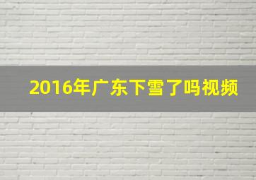 2016年广东下雪了吗视频