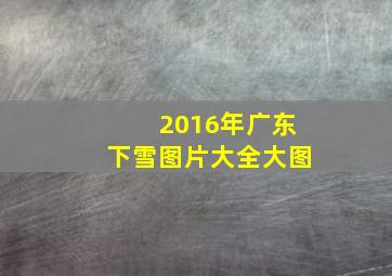 2016年广东下雪图片大全大图