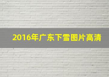 2016年广东下雪图片高清