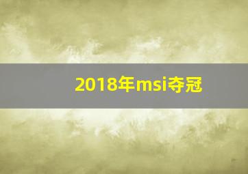 2018年msi夺冠