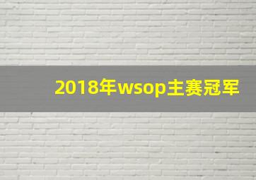 2018年wsop主赛冠军