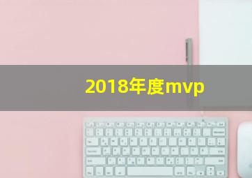 2018年度mvp