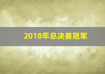 2018年总决赛冠军