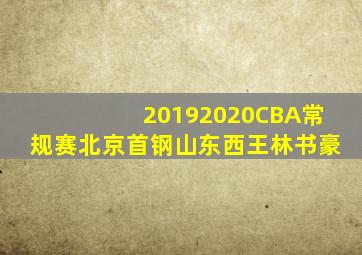 20192020CBA常规赛北京首钢山东西王林书豪