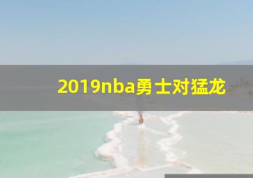 2019nba勇士对猛龙