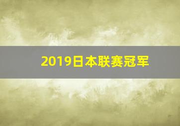 2019日本联赛冠军