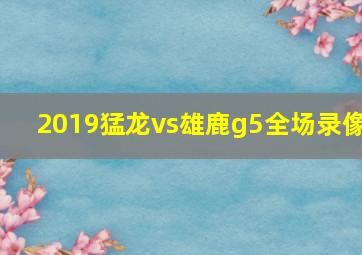 2019猛龙vs雄鹿g5全场录像