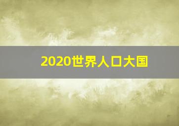 2020世界人口大国