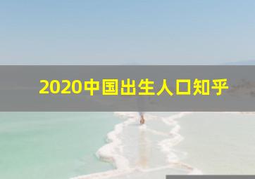 2020中国出生人口知乎