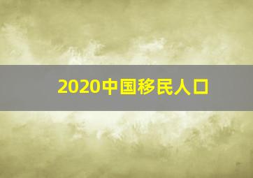 2020中国移民人口