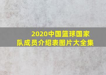 2020中国篮球国家队成员介绍表图片大全集