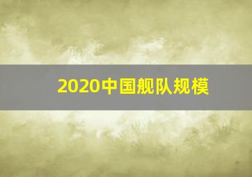 2020中国舰队规模