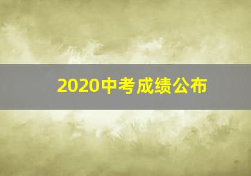 2020中考成绩公布