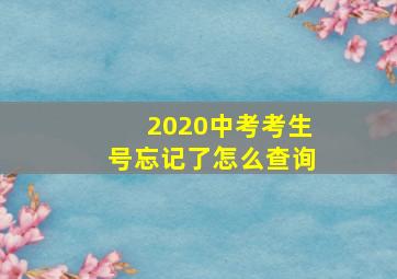 2020中考考生号忘记了怎么查询