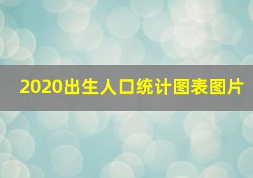 2020出生人口统计图表图片