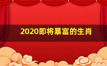 2020即将暴富的生肖