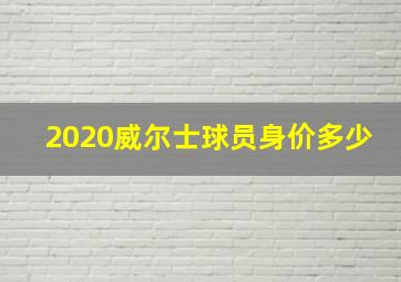 2020威尔士球员身价多少