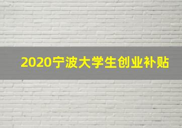 2020宁波大学生创业补贴