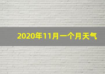 2020年11月一个月天气