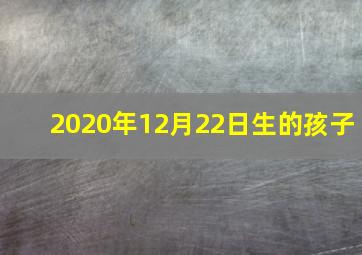 2020年12月22日生的孩子