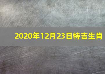 2020年12月23日特吉生肖