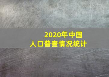 2020年中国人口普查情况统计