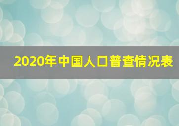 2020年中国人口普查情况表