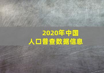 2020年中国人口普查数据信息