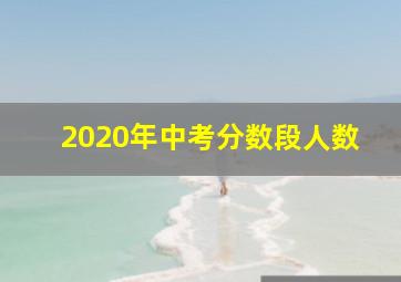 2020年中考分数段人数