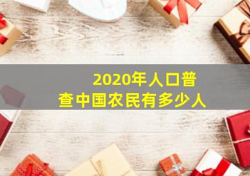 2020年人口普查中国农民有多少人