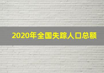 2020年全国失踪人口总额