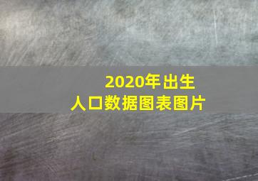 2020年出生人口数据图表图片