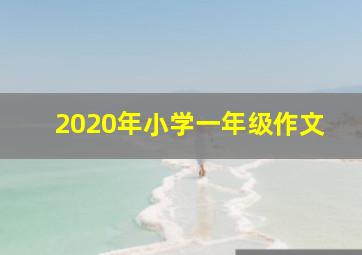 2020年小学一年级作文