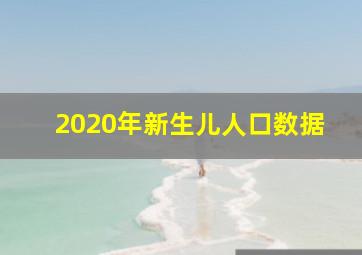 2020年新生儿人口数据