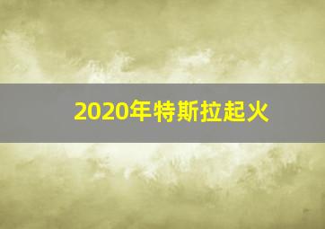 2020年特斯拉起火