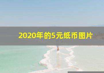 2020年的5元纸币图片