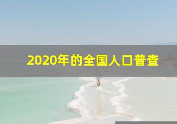 2020年的全国人口普查