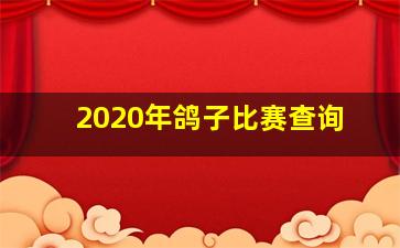 2020年鸽子比赛查询