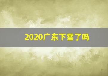 2020广东下雪了吗