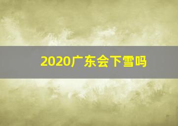 2020广东会下雪吗