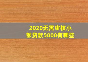 2020无需审核小额贷款5000有哪些