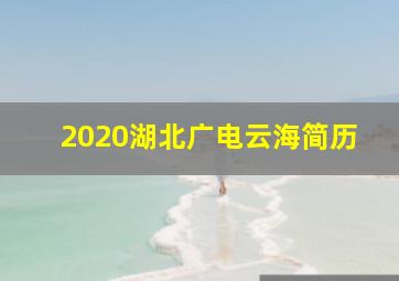 2020湖北广电云海简历